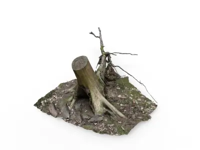 Forest Tree Stump 4K -Part 6- Free low-poly 3D model