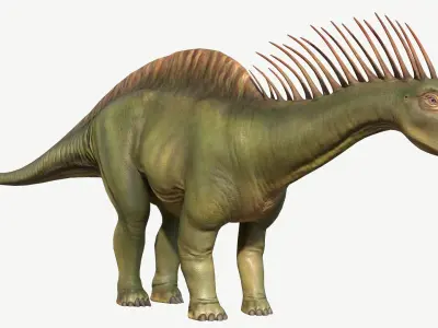 Amargasaurus dinosaur Low-poly 3D model