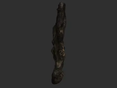 Bony Wall 1 - Spider Low-poly 3D model