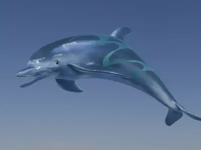 Shiny Dolphin 3D model