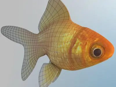 Golden Fish 3D model