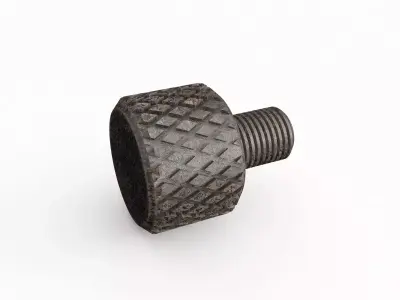 Screw 150 3D model