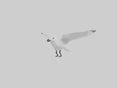 Ivory Gull flying model Low-poly 3D model