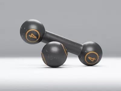 Gym Dumbbell 4 3D model