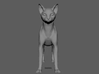 Base Mesh Cat 3D model purchase
