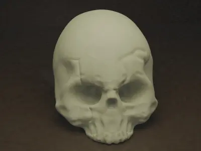 skull and the book Free 3D model