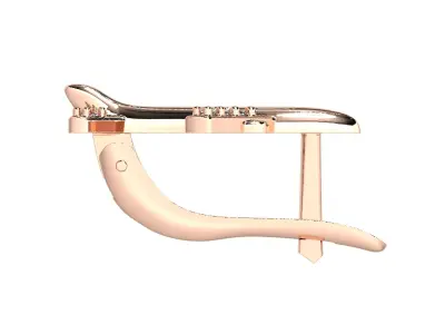 Airplane airbus jewelry earring 3D print model