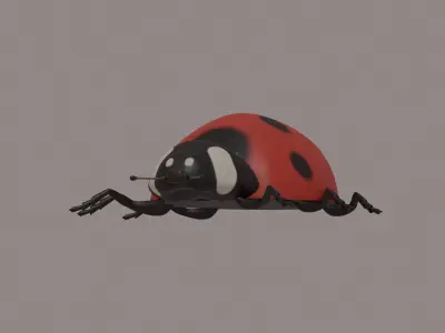 Ladybug 3D model order