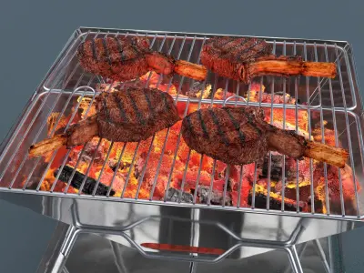 Outdoor Portable Grill with Meat 3D model