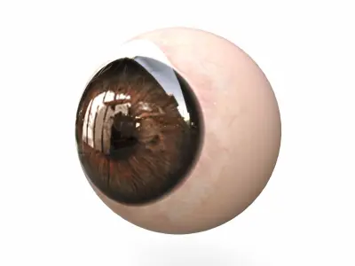 Human Eye Low-poly 3D model