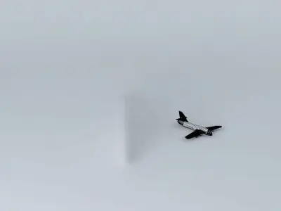 AIRBOUINGUE bird in sky Free 3D model