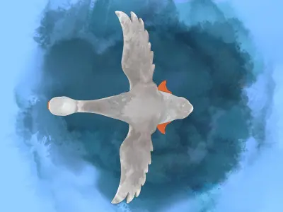 Swan Watercolor Rigged 3D model