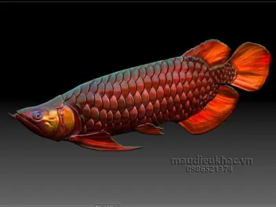 Dragon Fish Free 3D print model