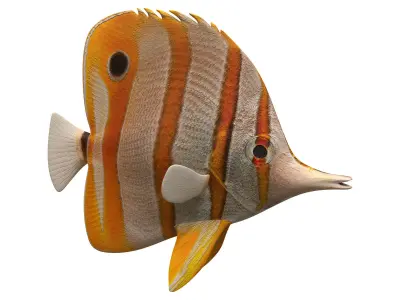 butterfly fish Low-poly 3D model get
