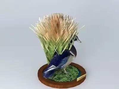 Wood Duck mount Free 3D model