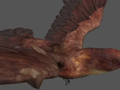 Detailed Bird Low-poly 3D model