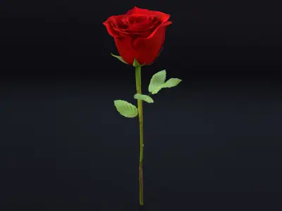  Rose 2 