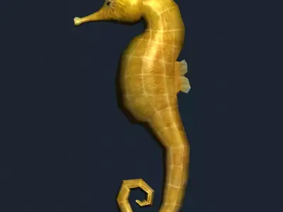 3DRT - Sealife - Seahorse Low-poly 3D model