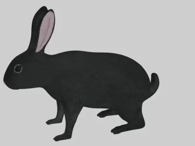 Black Rabbit low poly rigged Low-poly 3D model