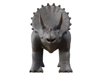 Triceratops Low-poly 3D model order