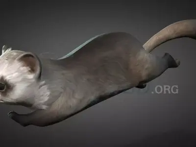 Ratel Ver1 Free 3D model purchase