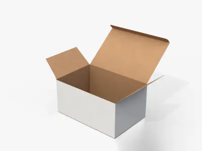 Tuck Top Boxes - White Essential Packaging Set 