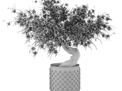 3D Flower-pot bonsai tree Low-poly 3D model