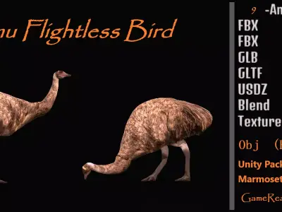 Emu Bird Low-poly 3D model