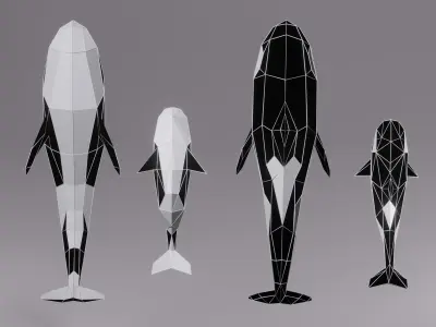 Orca Whale Low Poly Model  Low-poly 3D model