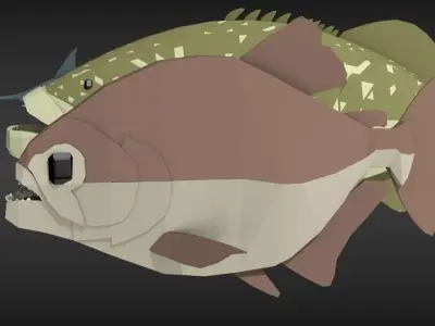 fish pack Low-poly 3D model purchase