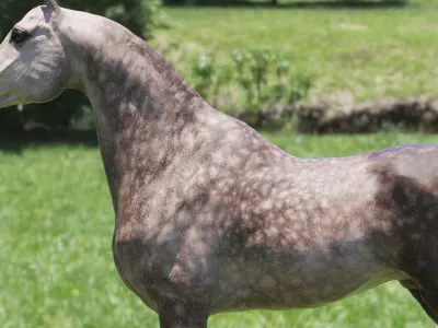 Horse 3 colors Arabian 3D model