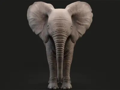 Animated Elephant Baby 3D 3D model