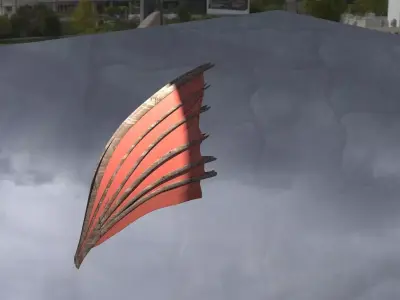 Asian Red Fin sails  3D model