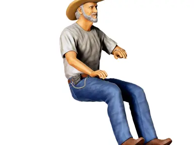 N3 Truck Driver 3D print model