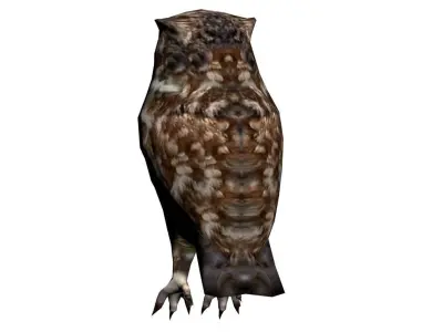 Owl model great horned 3D model