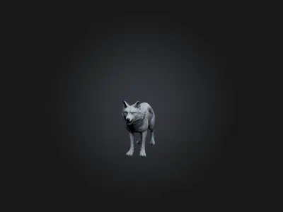Realistic Wolf Model Low-poly 3D model