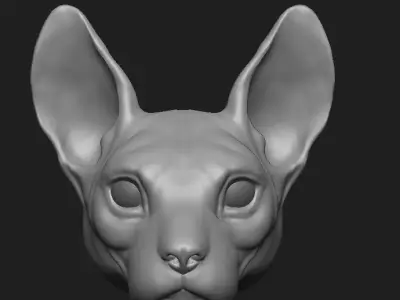 high poly cat head model  3D model