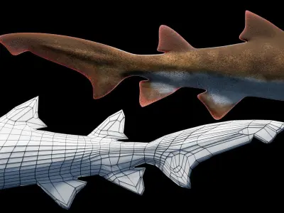 Animated Sand Tiger Shark Low-poly 3D model