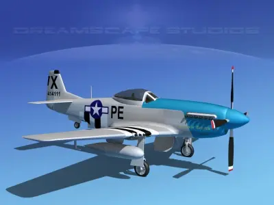 P-51D Mustang Strawboss 3D model