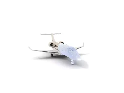 Luxury Business Jet Model Pack with Elegant Features Low-poly 3D model