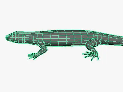 Low Poly Lizard Low-poly 3D model
