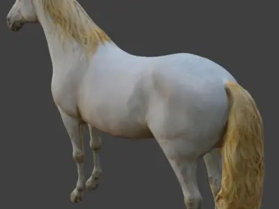  white horse 3D model