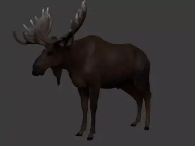 Moose Low-poly 3D model