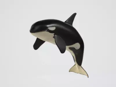 Killerwhale 3D model