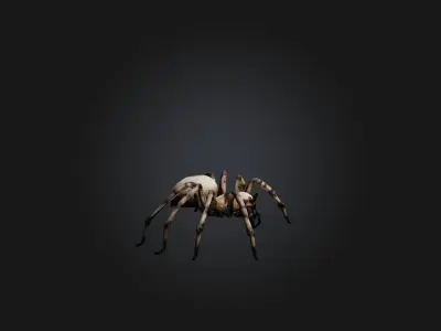 Giant Spider Low-poly 3D model