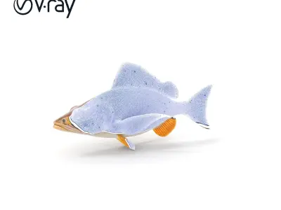 Realistic Fish Model Pack with PBR Textures Low-poly 3D model