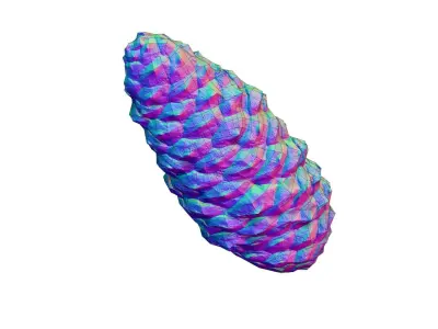 Pine Cone - Real-Time Scanned Low-poly 3D model