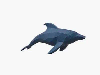 Dolphin low poly Low-poly 3D model purchase