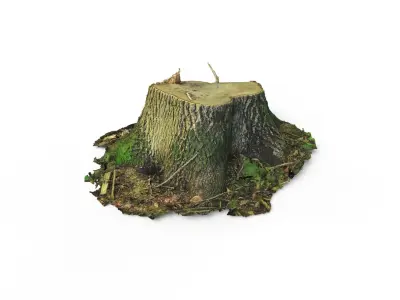 Forest Tree Stump 4K -Part 3-  Free low-poly 3D model