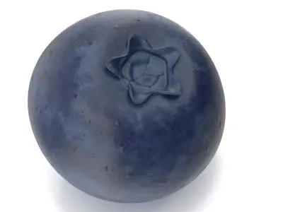 Blueberry 3D model